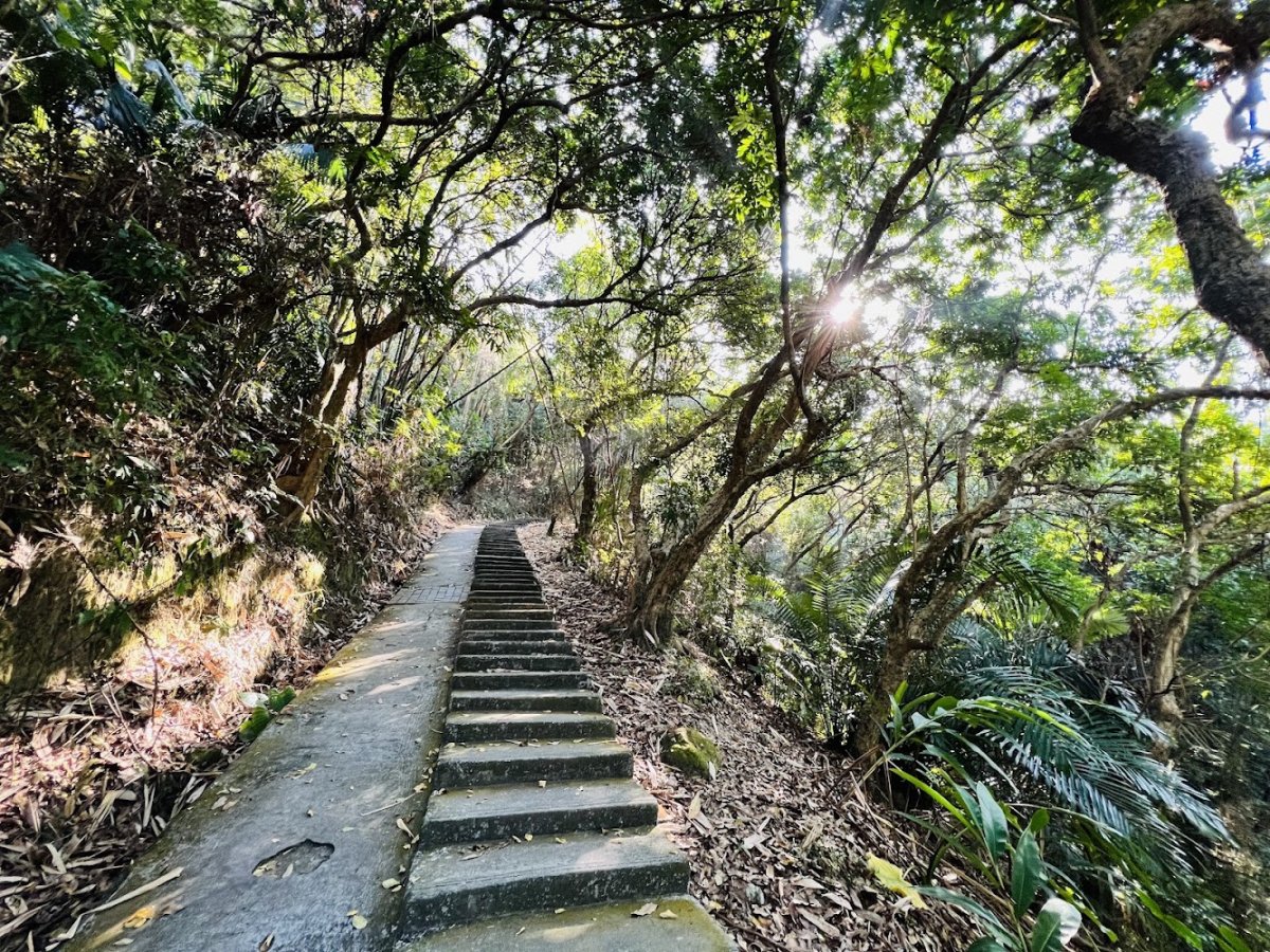  虎山登山步道 